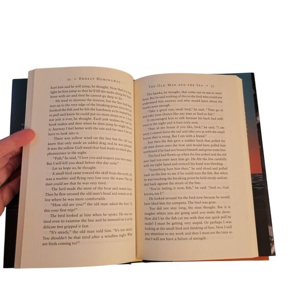 The Old Man and the Sea Book Cover - Picture 5 of 5